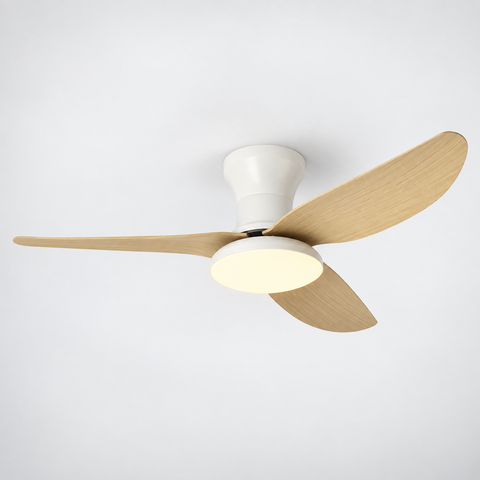 Ventilateur de Plafond Chambre Haute Puissance