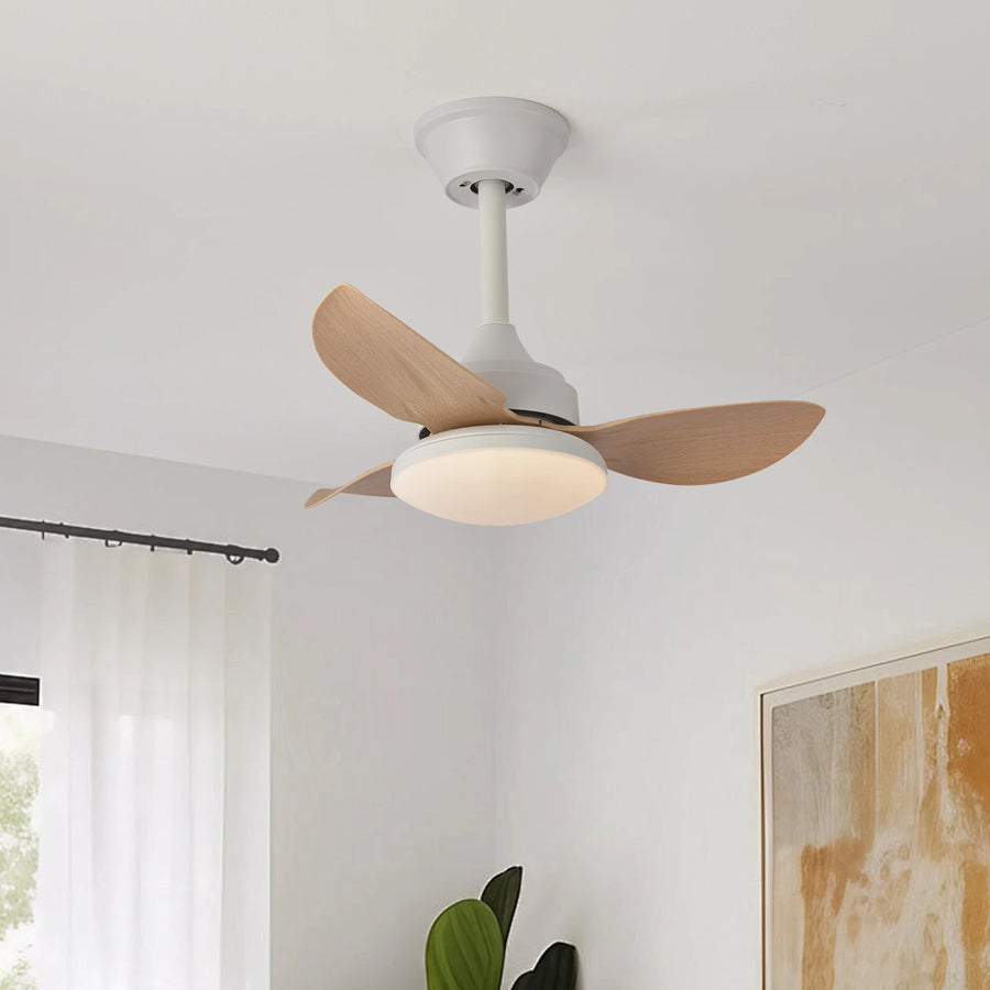 Ventilateur de Plafond | Auretta