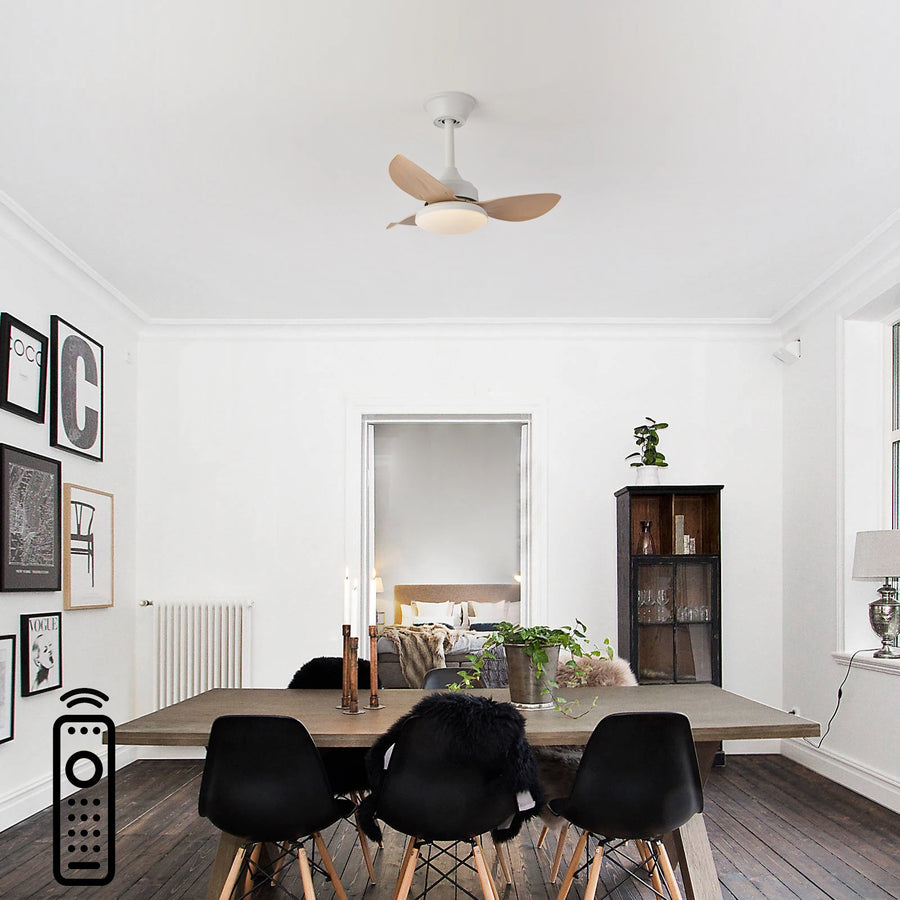 Ventilateur de Plafond | Auretta