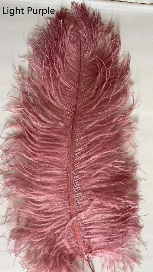 Lampadaire Plumes Blanches et Métal Doré Art Déco - Salon Bureau Chambre — Aigrette