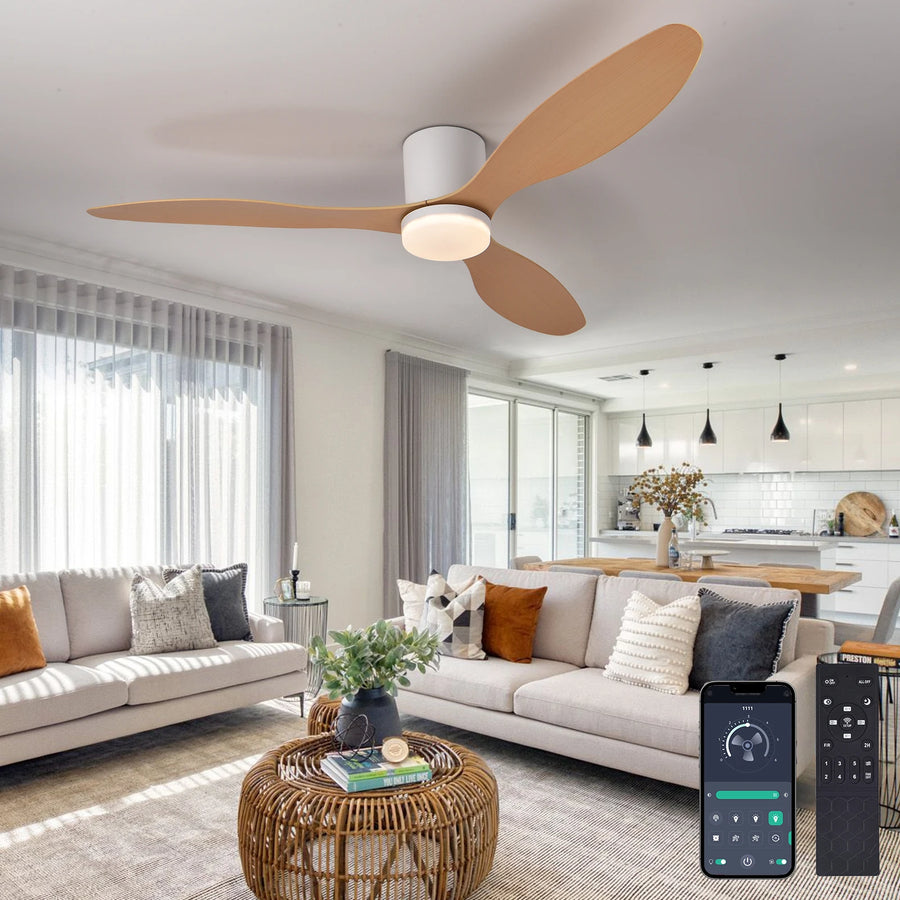 Ventilateur de Plafond Profil Bas avec Éclairage