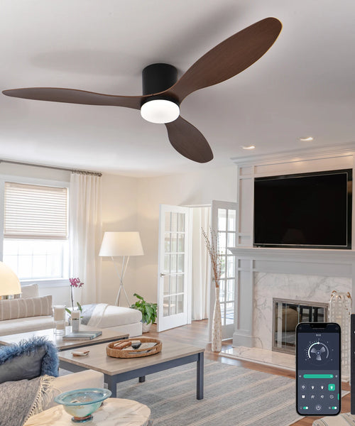 Ventilateur de Plafond Profil Bas avec Éclairage