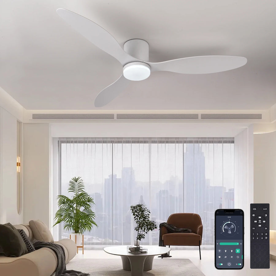 Ventilateur de Plafond Profil Bas avec Éclairage