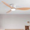 Ventilateur de Plafond Design Loft Silencieux
