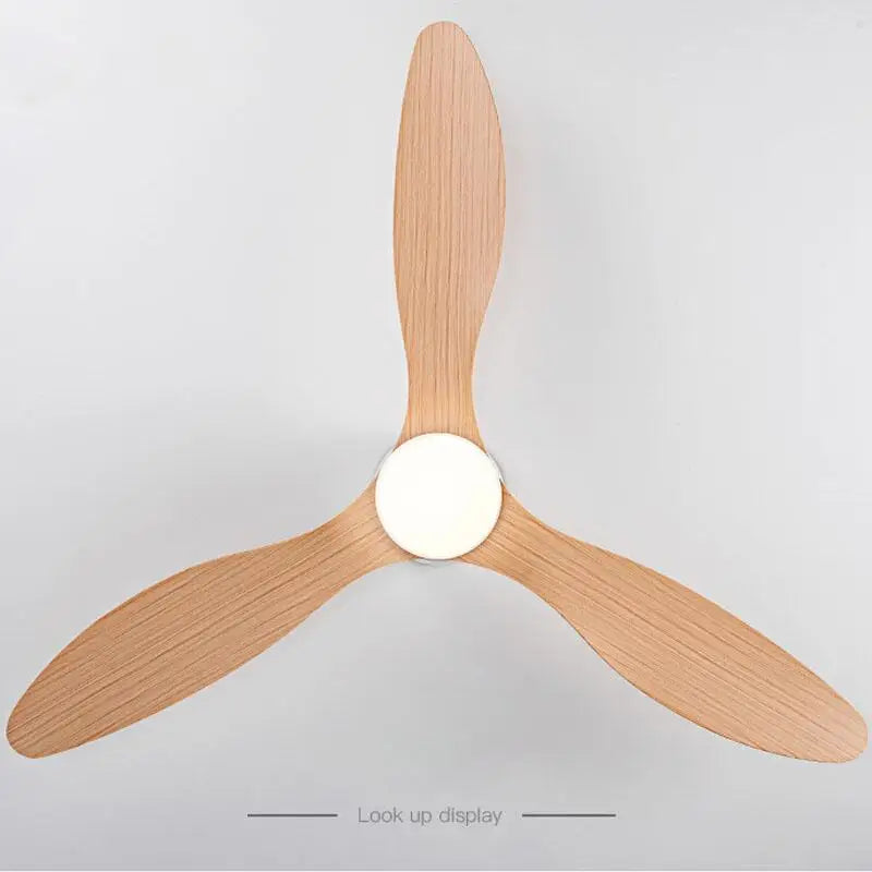 Ventilateur de Plafond Design Loft Silencieux