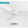 Ventilateur de Plafond Design Loft Silencieux