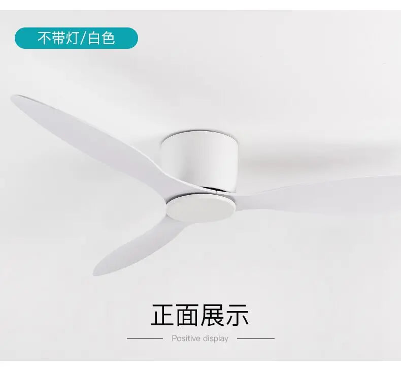 Ventilateur de Plafond Design Loft Silencieux