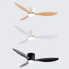 Ventilateur de Plafond Design Loft Silencieux