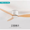 Ventilateur de Plafond Design Loft Silencieux