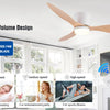 Ventilateur de Plafond Moderne Grand Volume d'Air