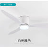 Ventilateur de Plafond Design Loft Silencieux