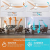 Ventilateur de Plafond Design Loft Silencieux
