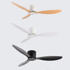 Ventilateur de Plafond Design Loft Silencieux
