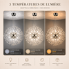 Lustre Suspension Sphère Cristal Étincelant et Métal Doré - Salon Salle à Manger — Novus