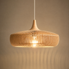 Suspension | Delfina