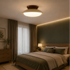 Plafonnier Soucoupe Céramique Vert Olive et Brun - Salle de Bain Salon Chambre — Lazuli