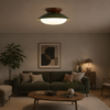 Plafonnier Soucoupe Céramique Vert Olive et Brun - Salle de Bain Salon Chambre — Lazuli