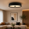 Plafonnier Anneau Métal Rouge Minimaliste Design Moderne - Salle de Bain Salon Chambre — Vibrato