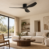 Ventilateur de Plafond | Borea
