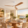 Ventilateur de Plafond | Zefiro
