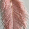 Lampadaire Plumes Blanches et Métal Doré Art Déco - Salon Bureau Chambre — Aigrette
