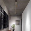 Elowen Linéaire Aluminium Noir Minimaliste