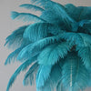 Lumis233 Plumes Rose Poudré Style Nordique