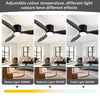 Ventilateur de Plafond Moderne Grand Volume d'Air