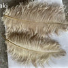 Lampadaire Feuillage Plumes Blanches et Métal Doré Art Déco - Salon Bureau Chambre — Folium