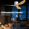 Ventilateur de Plafond Moderne 3 Pales avec Éclairage