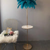 Lumis233 Plumes Rose Poudré Style Nordique