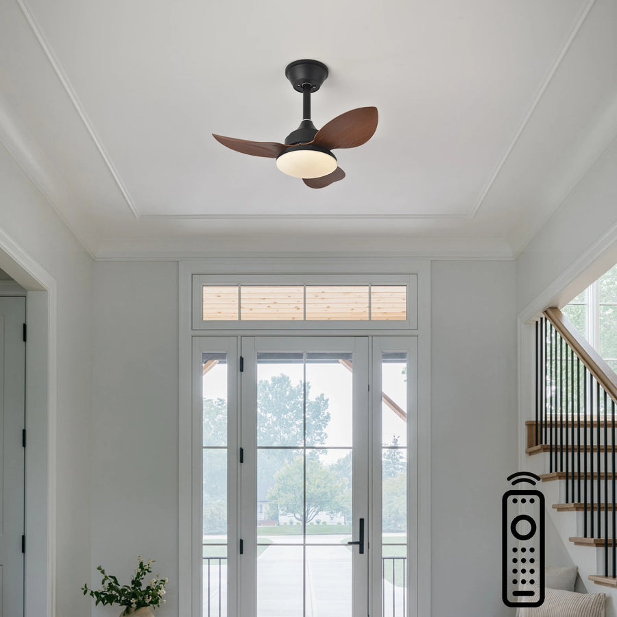 Ventilateur de Plafond | Auretta