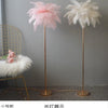 Lumis233 Plumes Rose Poudré Style Nordique