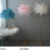 Lumis233 Plumes Rose Poudré Style Nordique