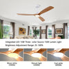 Ventilateur de Plafond Bois Naturel avec Éclairage