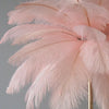 Lumis233 Plumes Rose Poudré Style Nordique