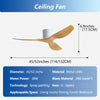 Ventilateur de Plafond Moderne 3 Pales avec Éclairage