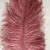 Lampadaire Plumes Blanches et Métal Doré Art Déco - Salon Bureau Chambre — Aigrette