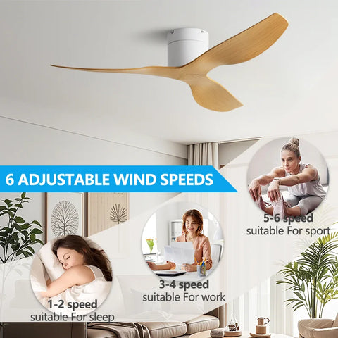 Ventilateur de Plafond Moderne 3 Pales avec Éclairage