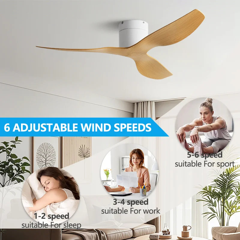 Ventilateur de Plafond Moderne 3 Pales avec Éclairage