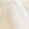 Lampadaire Feuillage Plumes Crème et Métal Doré - Salon Bureau Chambre — Folia
