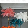 Lampadaire Feuillage Plumes Blanches et Métal Doré Art Déco - Salon Bureau Chambre — Folium