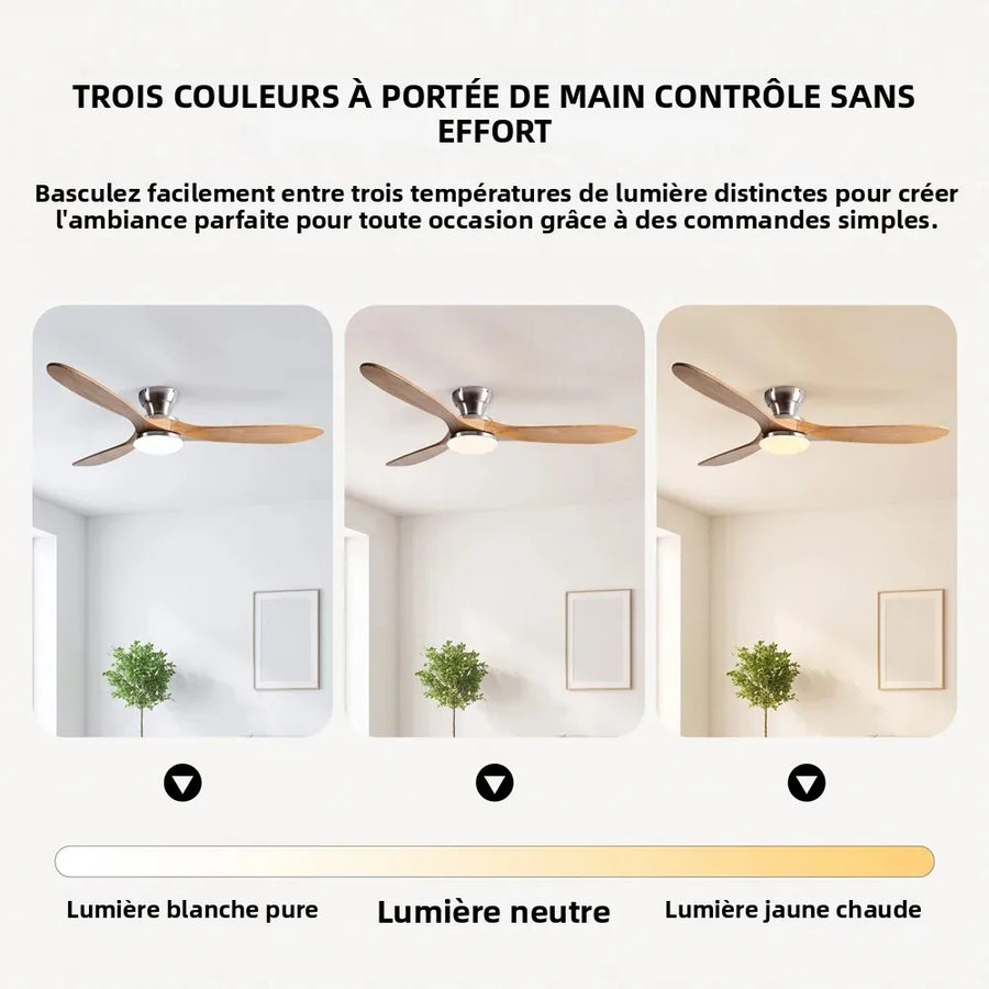 Ventilateur de Plafond Bois Massif avec Éclairage LED