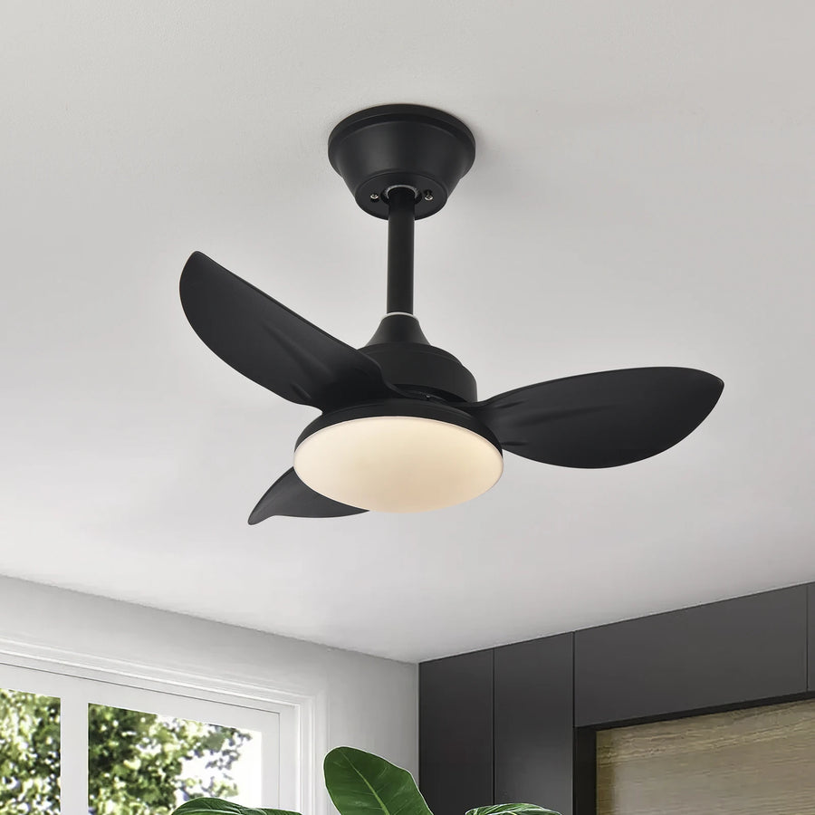 Ventilateur de Plafond | Auretta