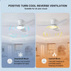 Ventilateur de Plafond Chambre Haute Puissance