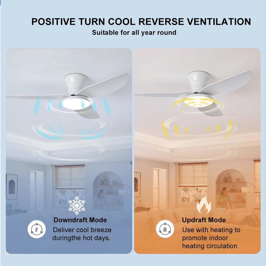 Ventilateur de Plafond Chambre Haute Puissance