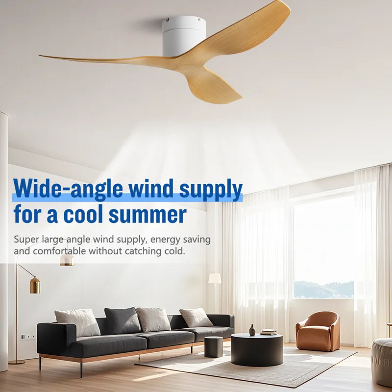 Ventilateur de Plafond Moderne 3 Pales avec Éclairage