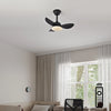 Ventilateur de Plafond | Auretta