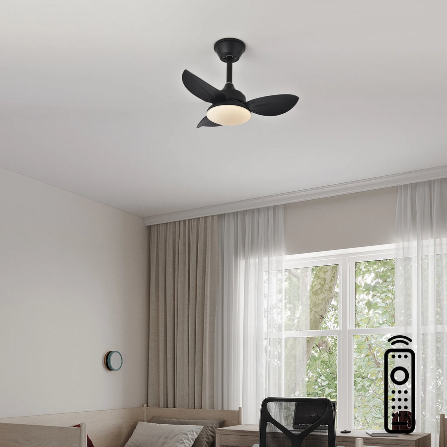 Ventilateur de Plafond | Auretta
