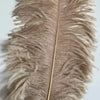 Lampadaire Plumes Blanches et Métal Doré Art Déco - Salon Bureau Chambre — Aigrette